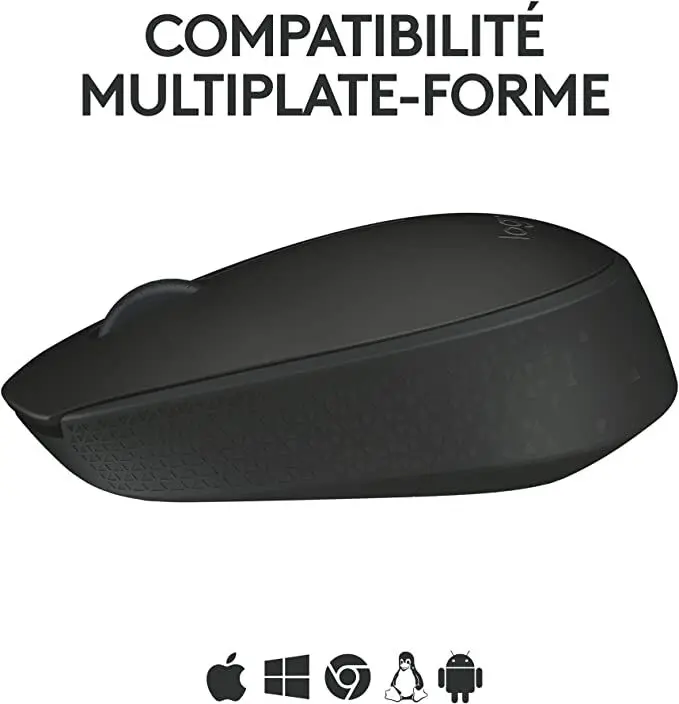 SOURIS Logitech m171