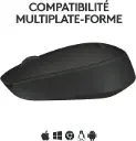 SOURIS Logitech m171